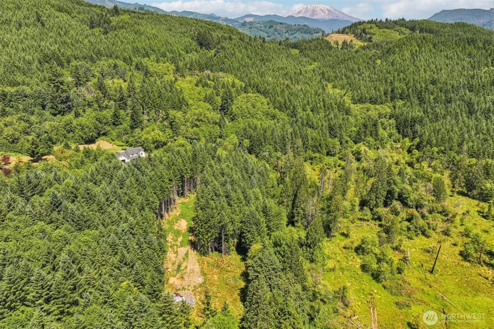 172 Mohawk Lane Amboy, WA 98601