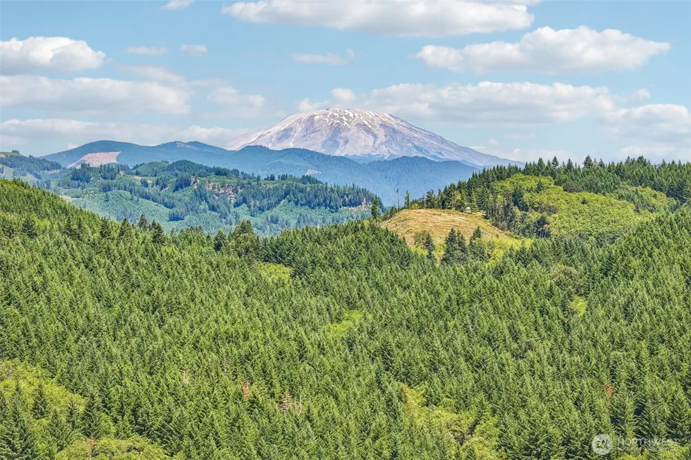 172 Mohawk Lane Amboy, WA 98601