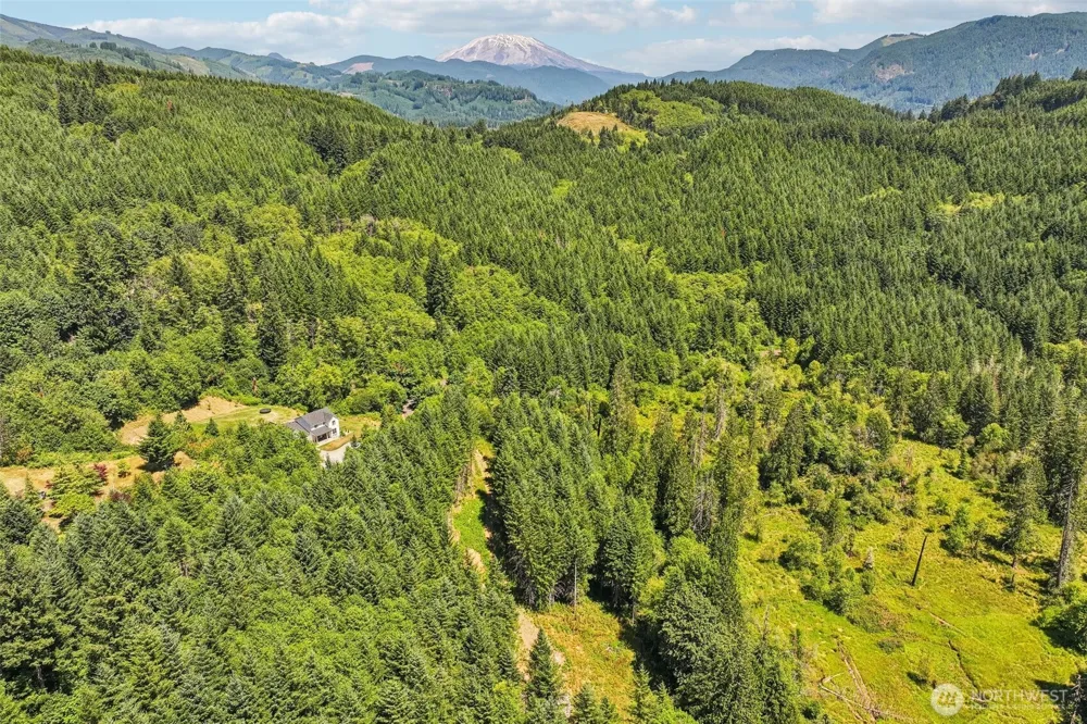 172 Mohawk Lane Amboy, WA 98601