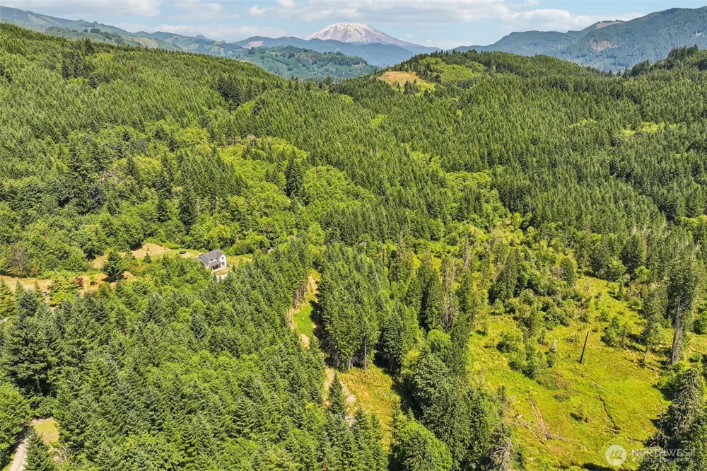 172 Mohawk Lane Amboy, WA 98601