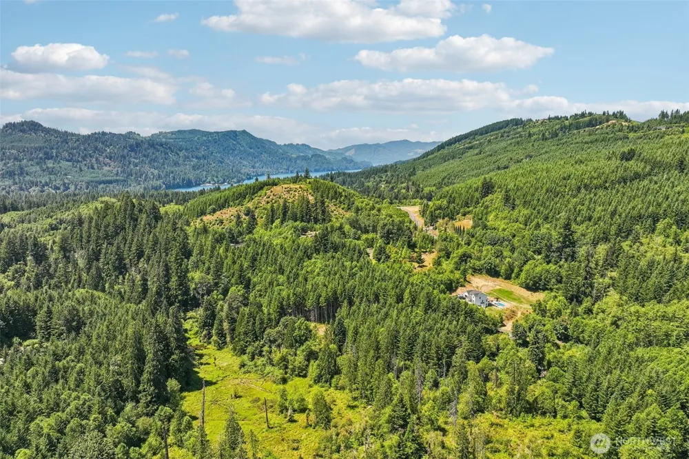 172 Mohawk Lane Amboy, WA 98601