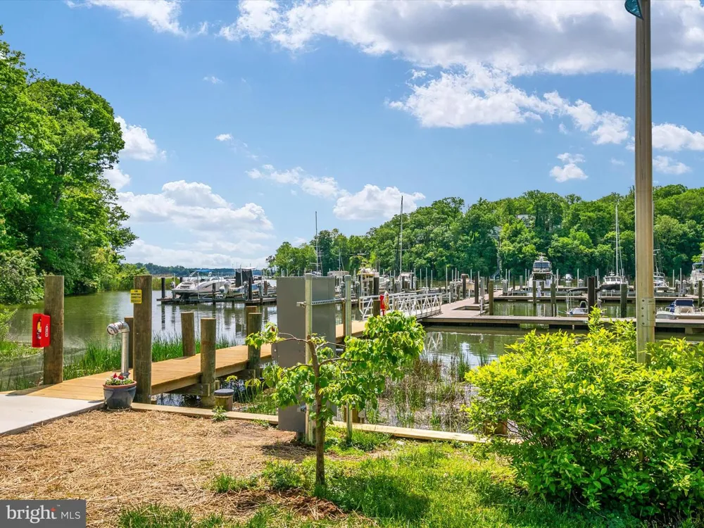 1486 DOWNHAM MARKET Annapolis, MD 21401