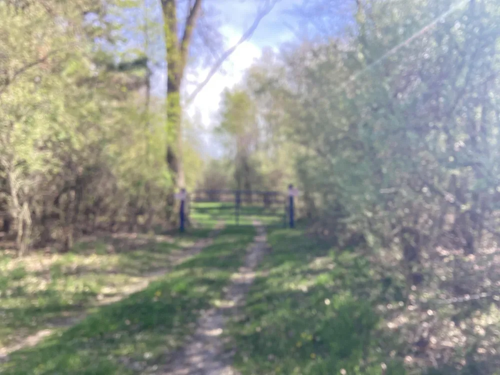 8005 W Juniper Beach Road Mears, MI 49436