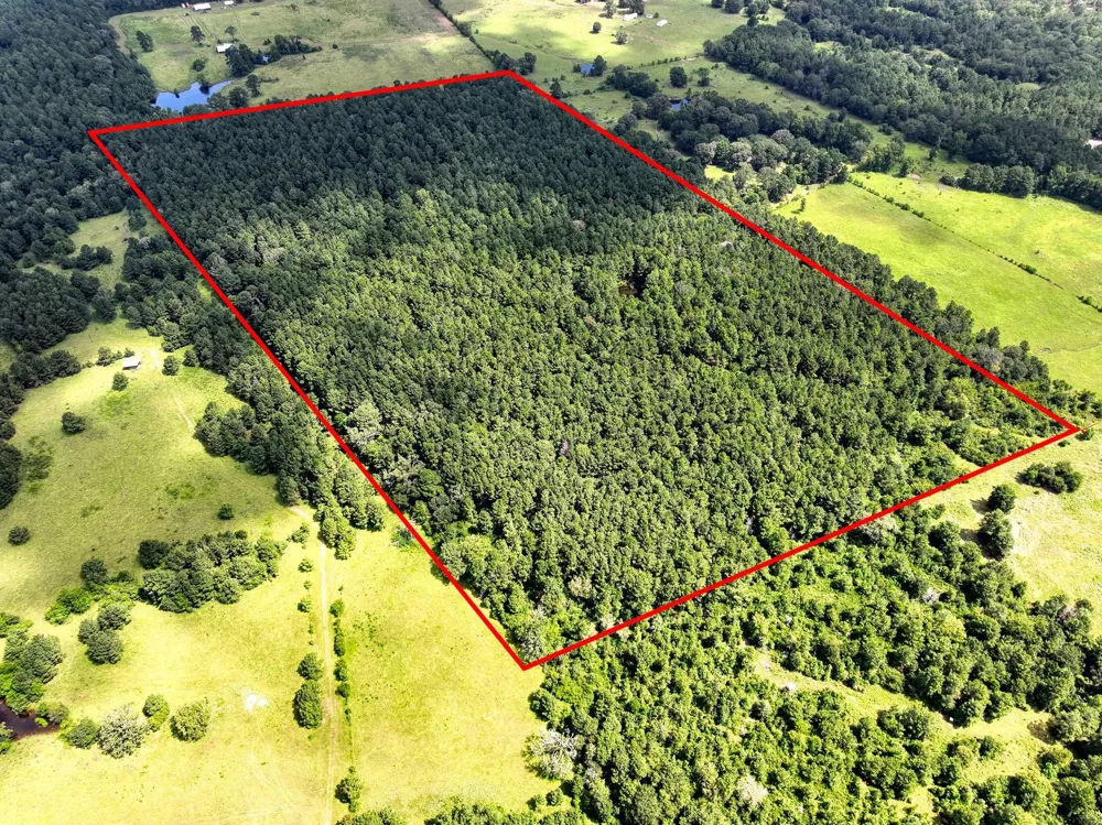 Cr 4120 Crockett, TX 75835