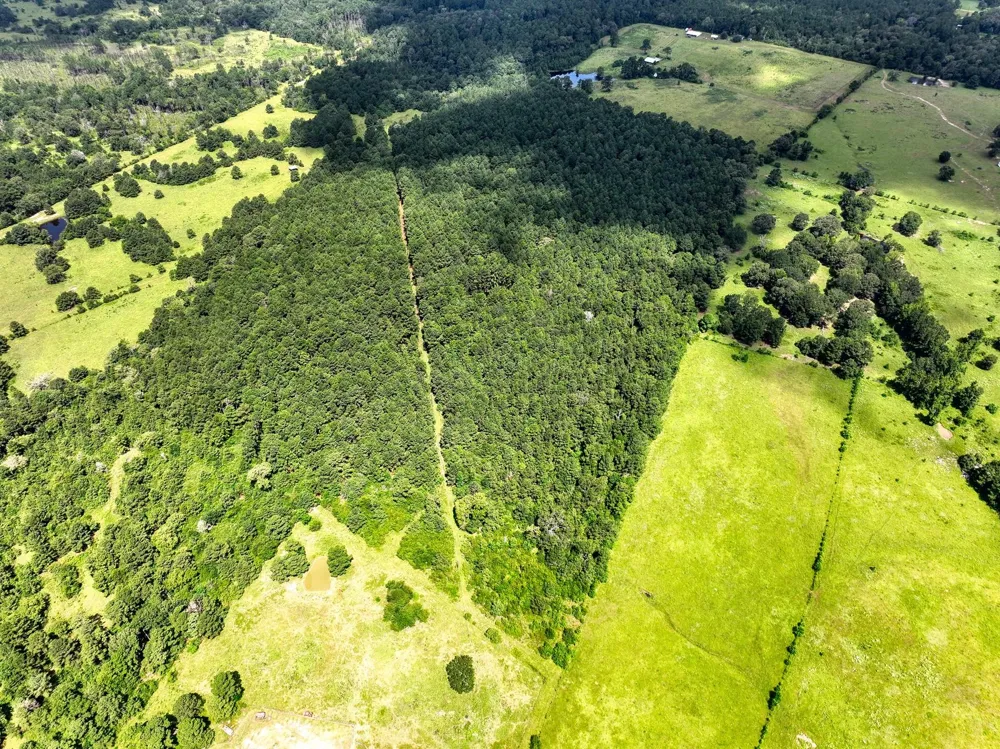 Cr 4120 Crockett, TX 75835