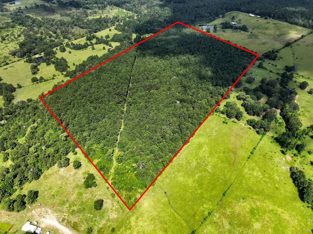 Cr 4120 Crockett, TX 75835