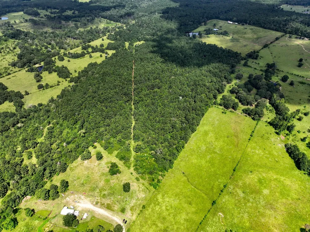 Cr 4120 Crockett, TX 75835
