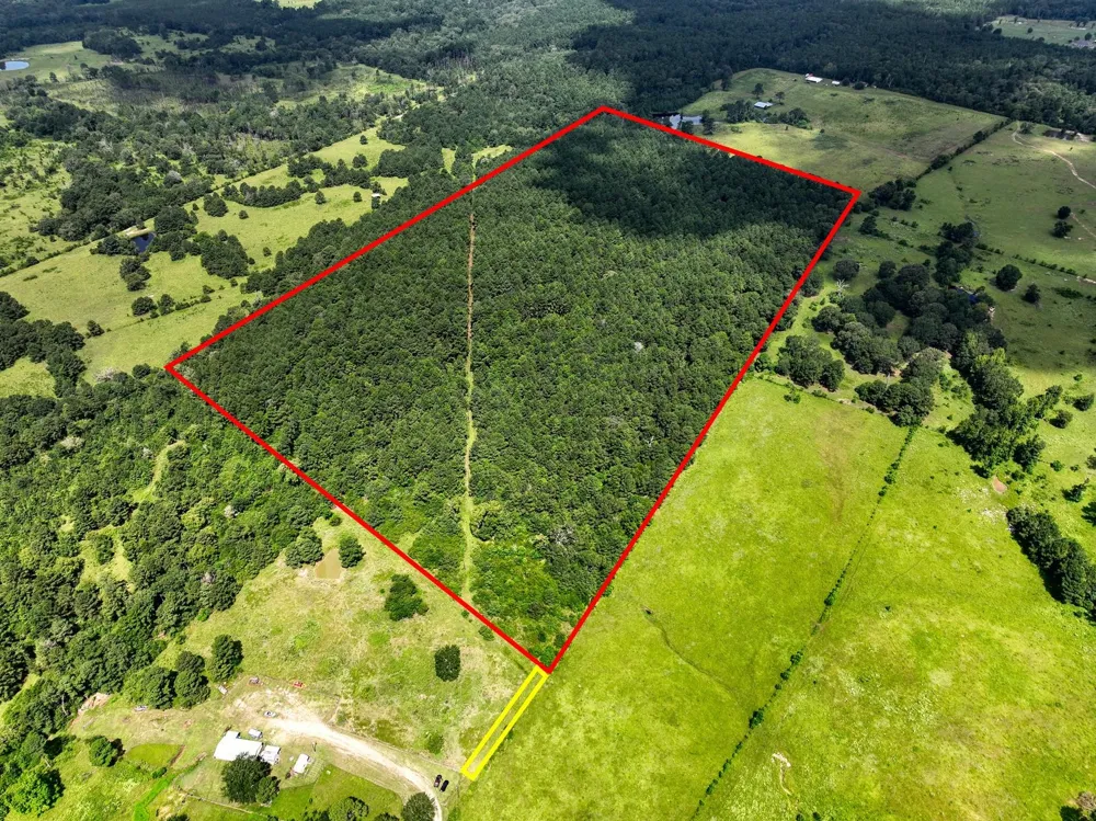 Cr 4120 Crockett, TX 75835