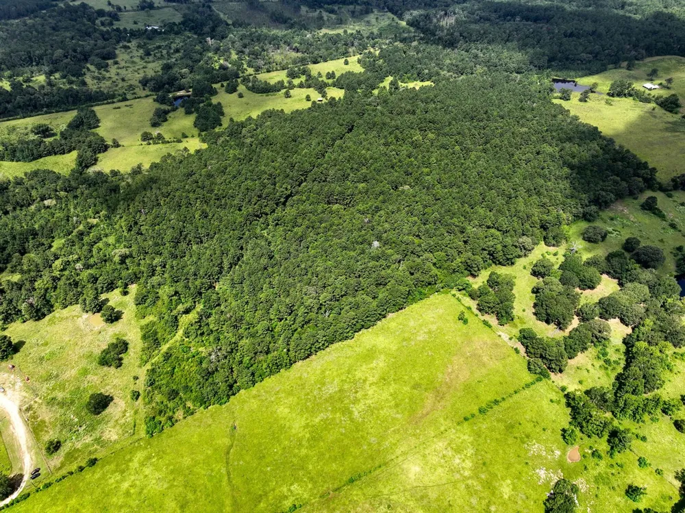 Cr 4120 Crockett, TX 75835