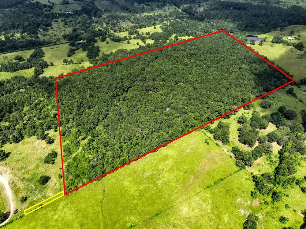 Cr 4120 Crockett, TX 75835