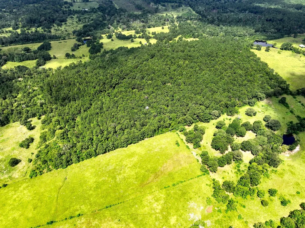 Cr 4120 Crockett, TX 75835