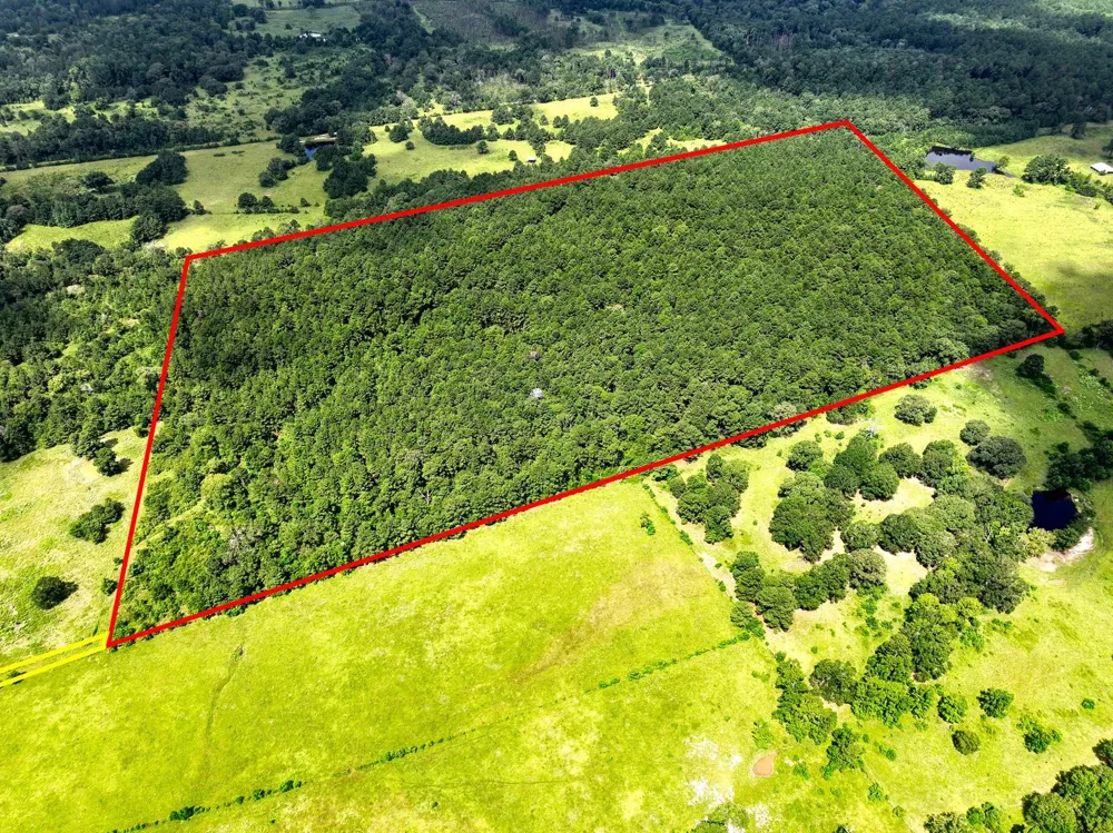 Cr 4120 Crockett, TX 75835