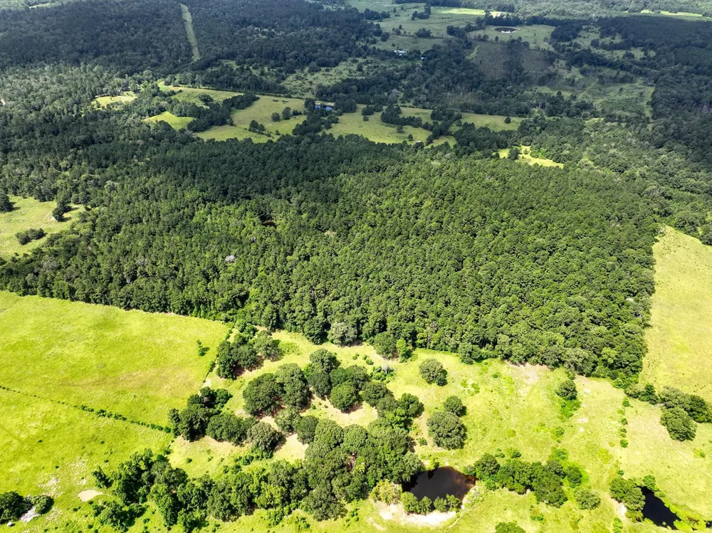 Cr 4120 Crockett, TX 75835