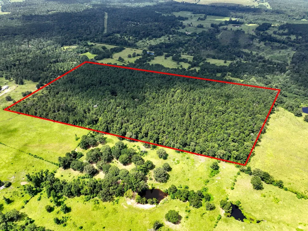 Cr 4120 Crockett, TX 75835