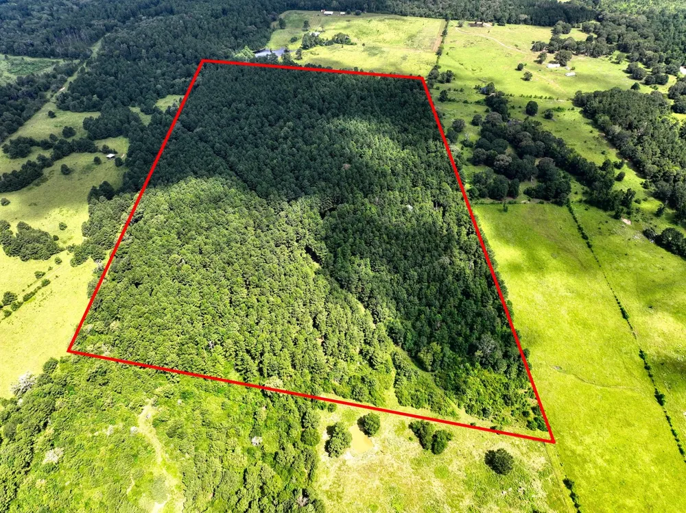 Cr 4120 Crockett, TX 75835