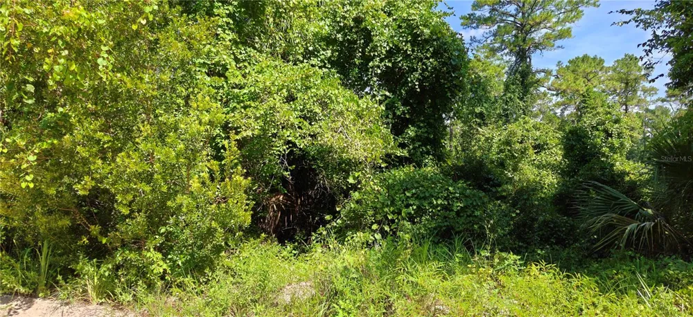 212 2ND AVENUE Satsuma, FL 32189