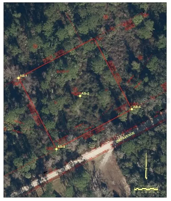 212 2ND AVENUE Satsuma, FL 32189
