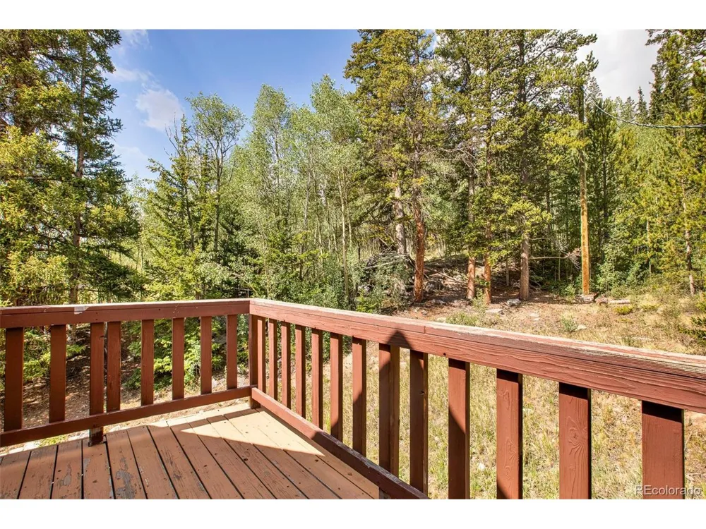 2399 CO RD 6 Alma, CO 80420