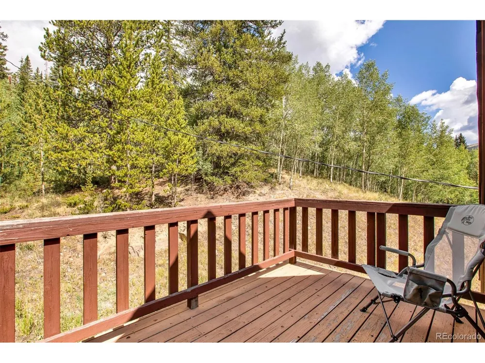 2399 CO RD 6 Alma, CO 80420