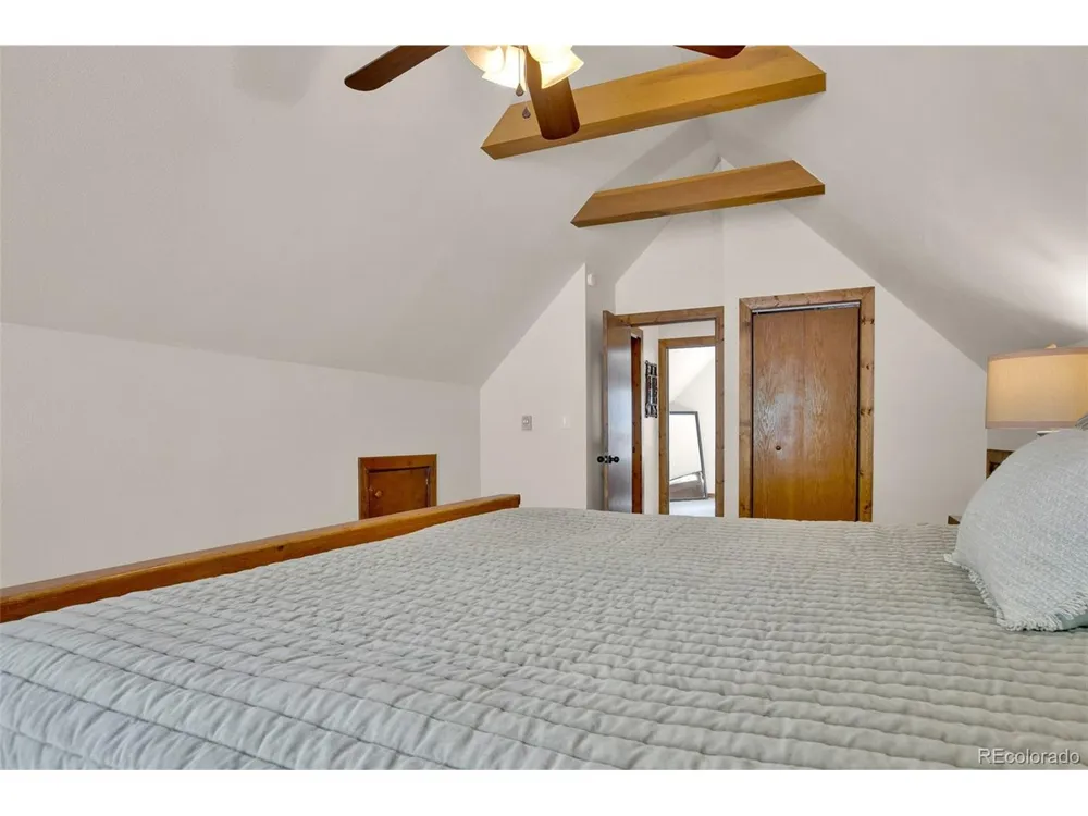 2399 CO RD 6 Alma, CO 80420