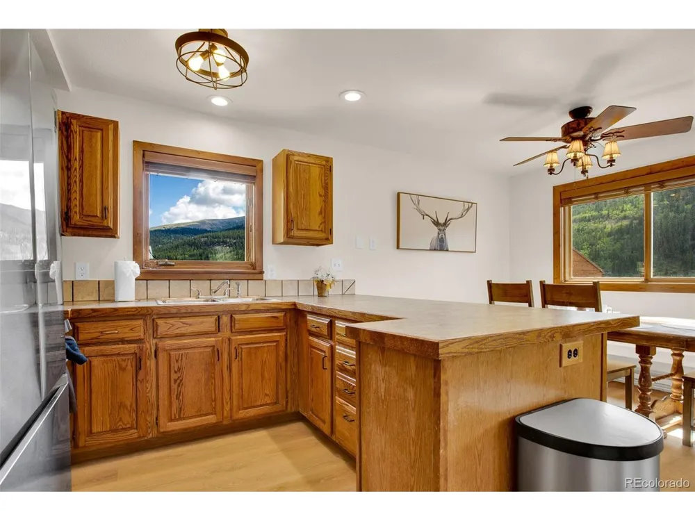 2399 CO RD 6 Alma, CO 80420