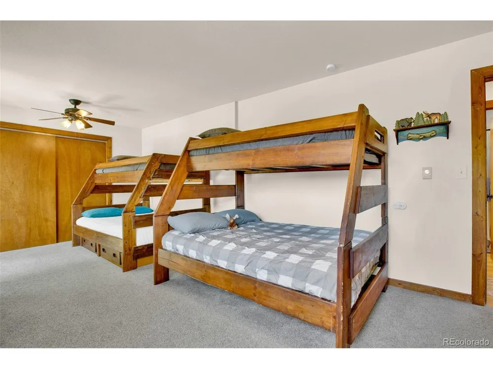 2399 CO RD 6 Alma, CO 80420