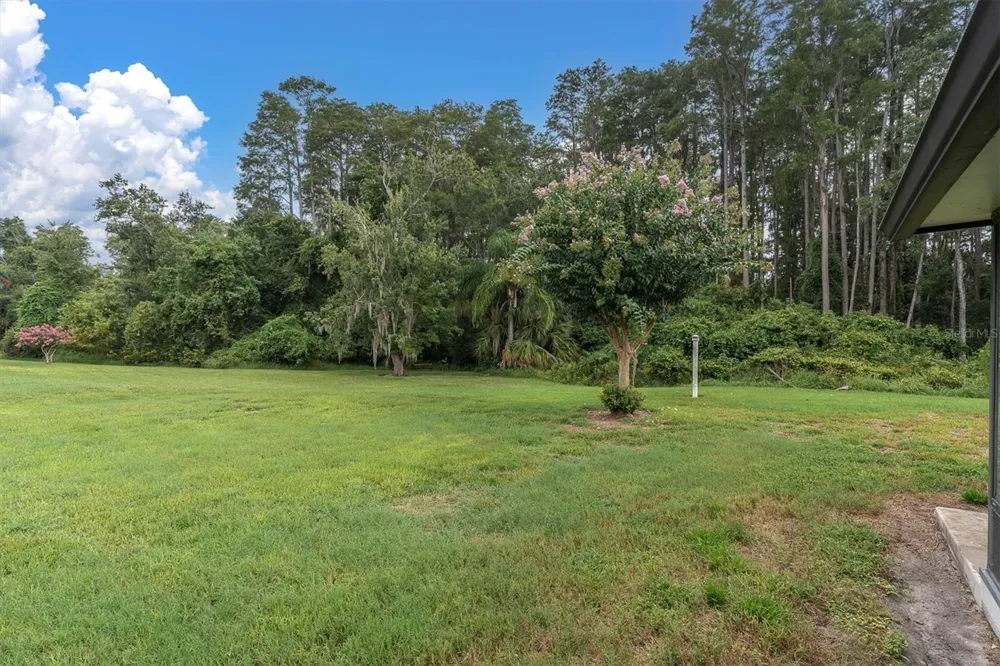 3203 CHARTER CLUB DRIVE #B Tarpon Springs, FL 34688