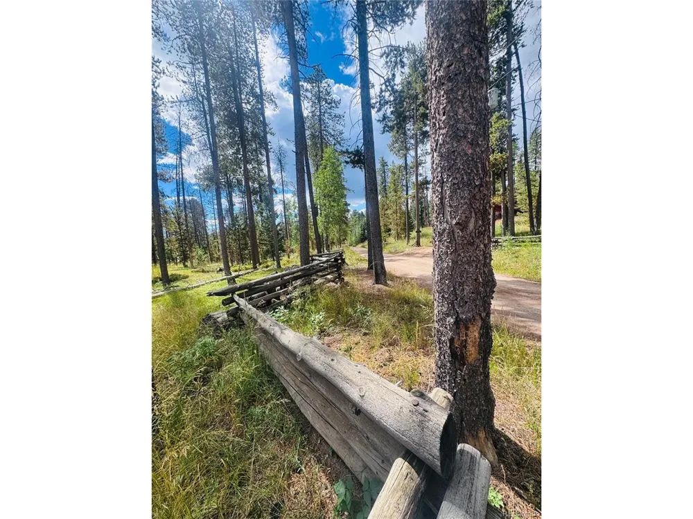 Lot 2M Vickery Ave Conifer, CO 80433
