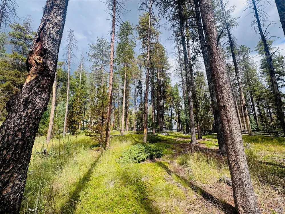 Lot 2M Vickery Ave Conifer, CO 80433