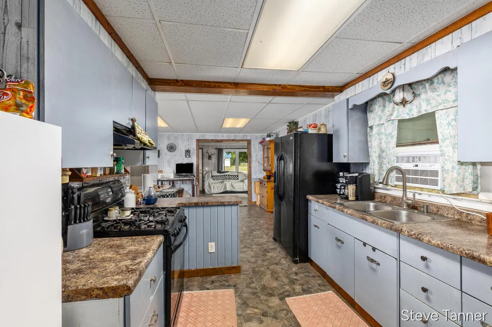 117 W Pine Street Edmore, MI 48829