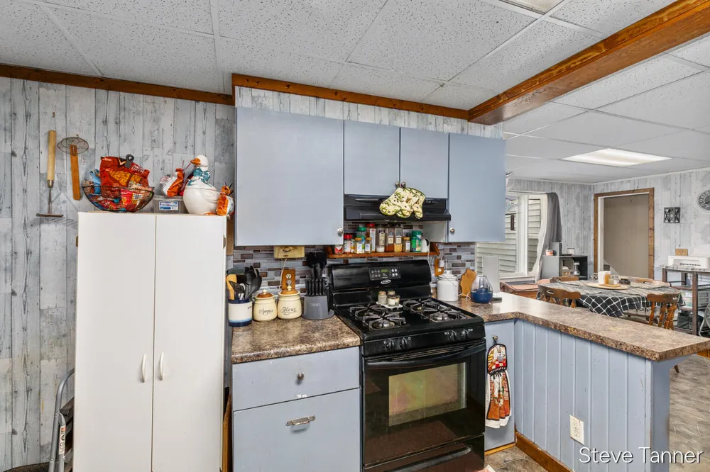 117 W Pine Street Edmore, MI 48829