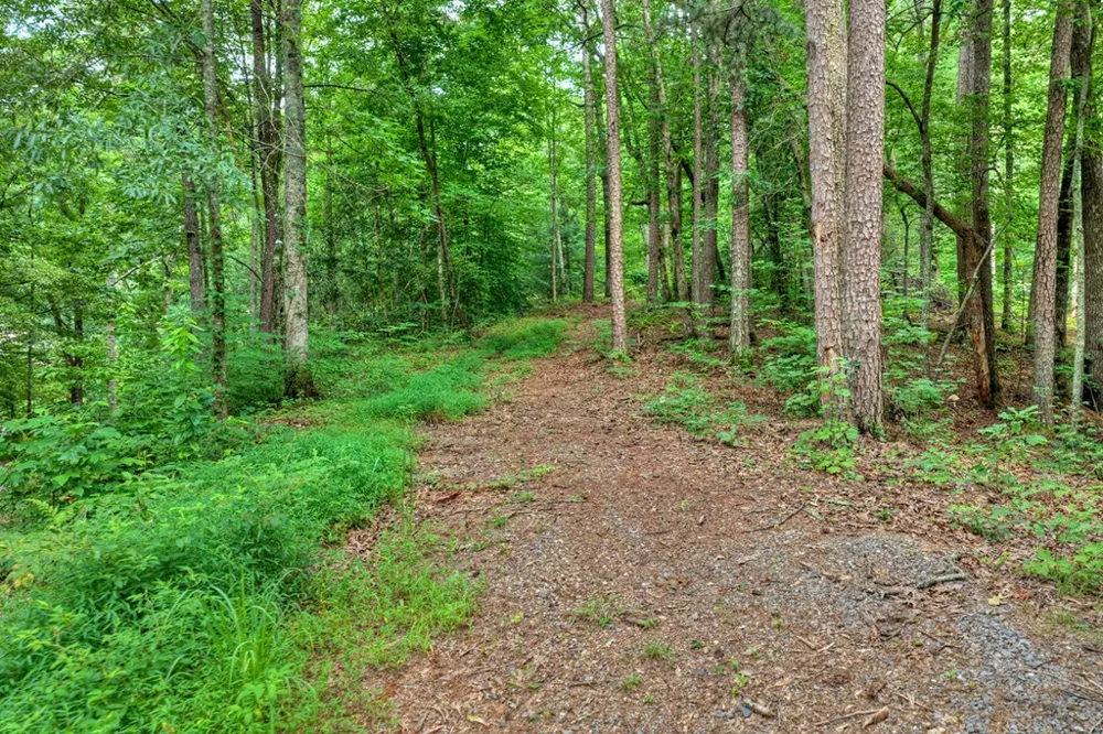 947 Cherry Log Street Cherry Log, GA 30522