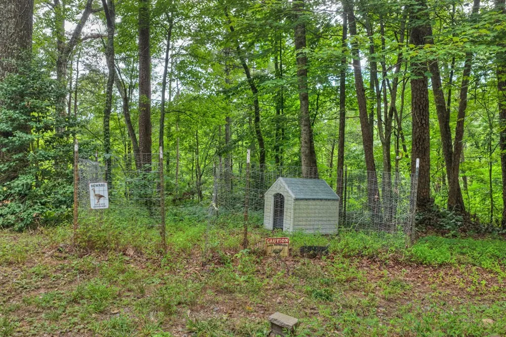 947 Cherry Log Street Cherry Log, GA 30522
