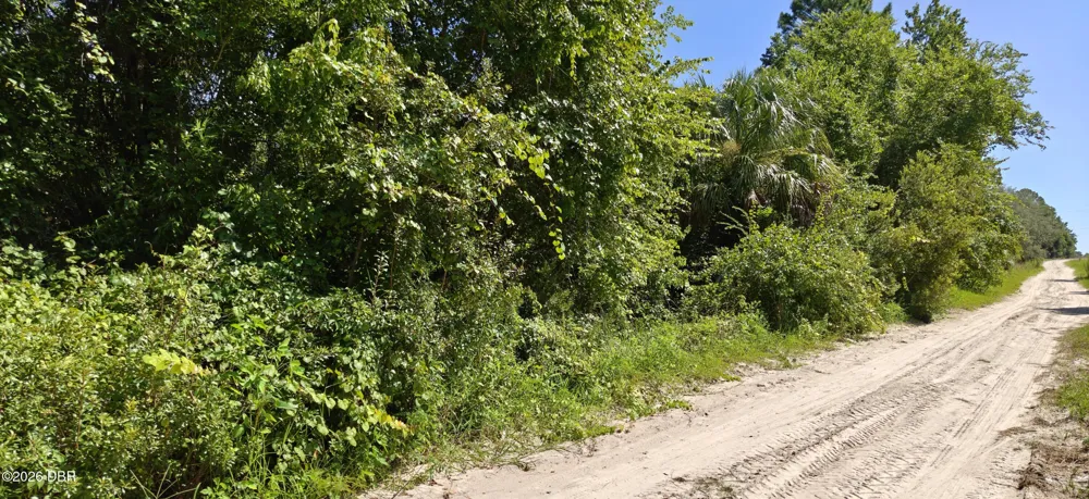 212 2nd Avenue Satsuma, FL 32189