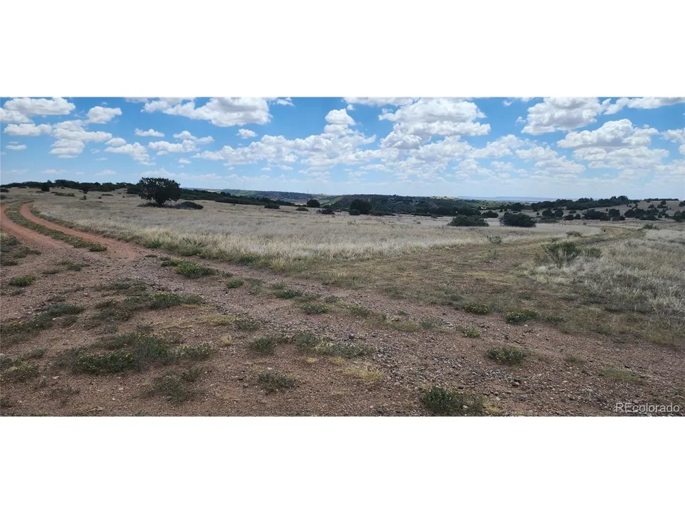 333 Patsy Circle Colorado City, CO 81019