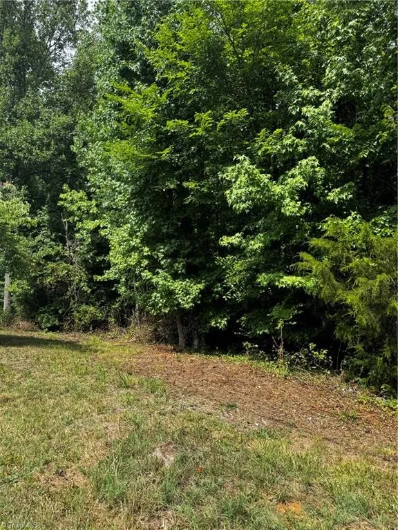 Lot 3 South Park Drive Reidsville, NC 27320