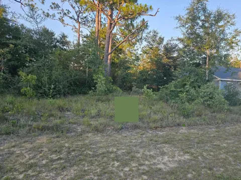 Lot 12 SHENANDOAH BOULEVARD