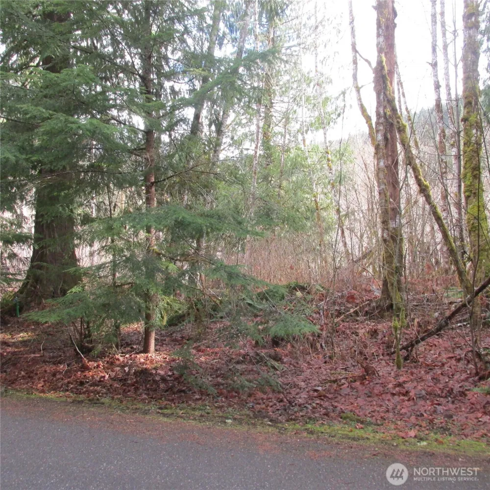 10337 Glacier Rim Drive Glacier, WA 98244