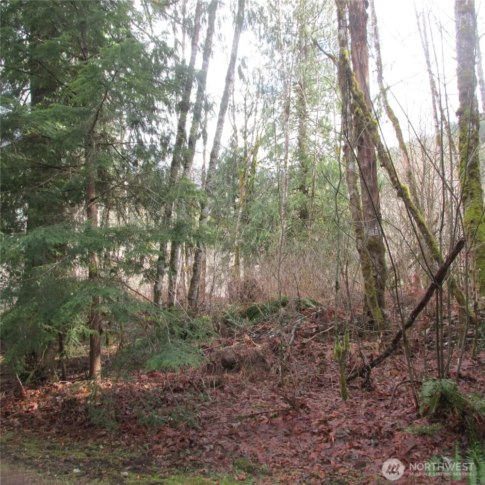 10337 Glacier Rim Drive Glacier, WA 98244