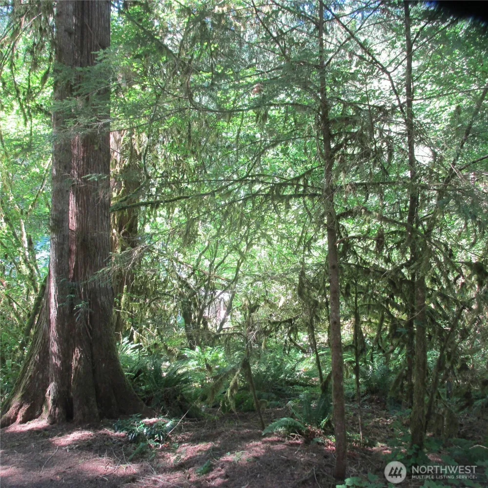 10337 Glacier Rim Drive Glacier, WA 98244