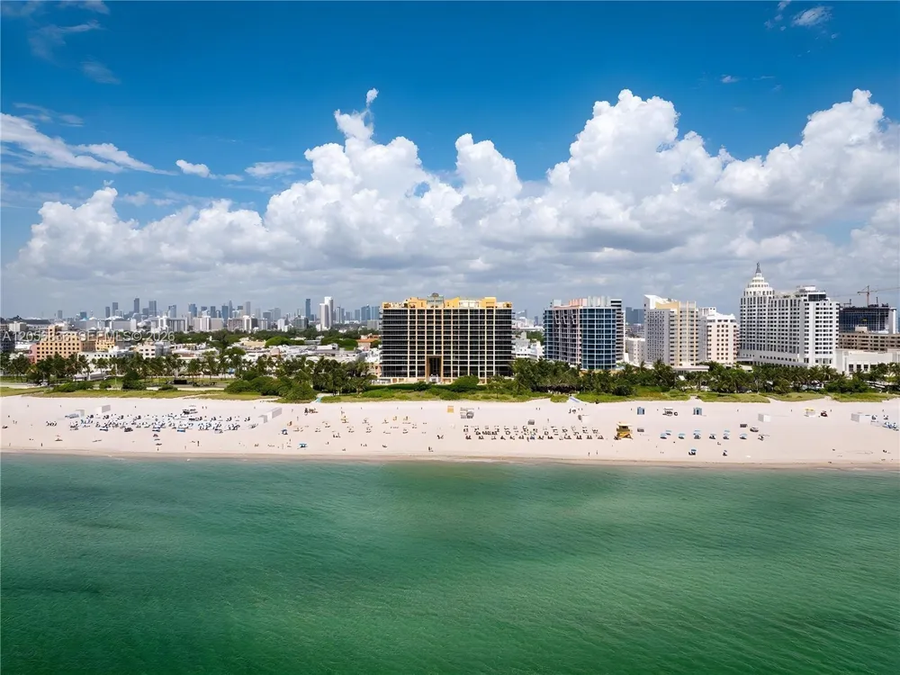 1455 Ocean Dr #703 Miami Beach, FL 33139