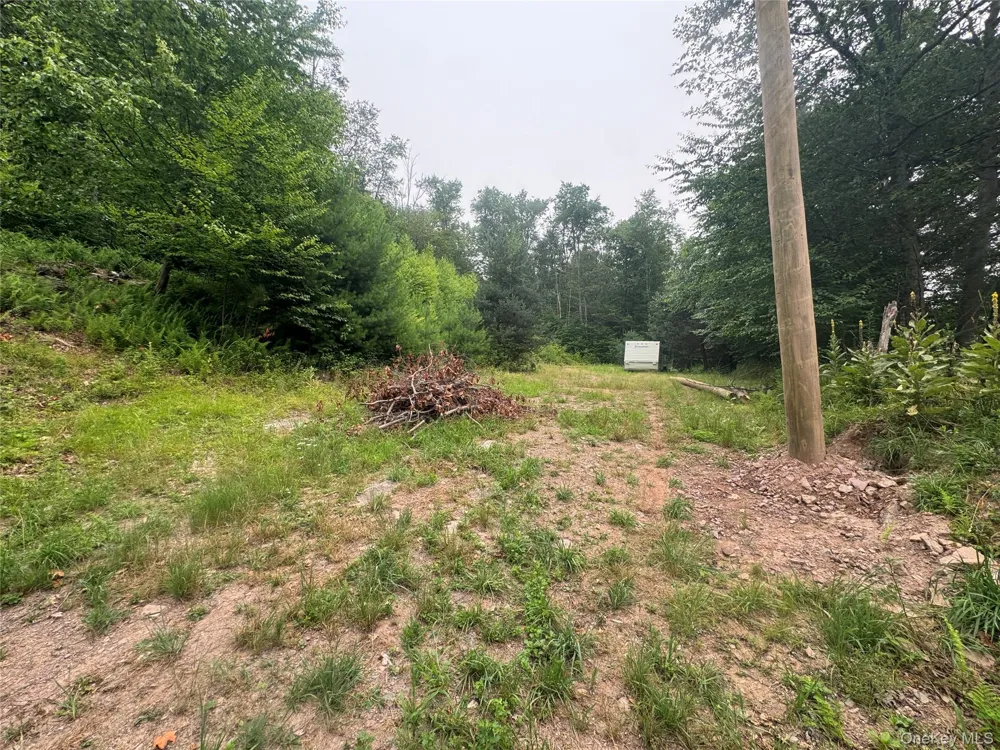 Rapp Road Monticello, NY 12701