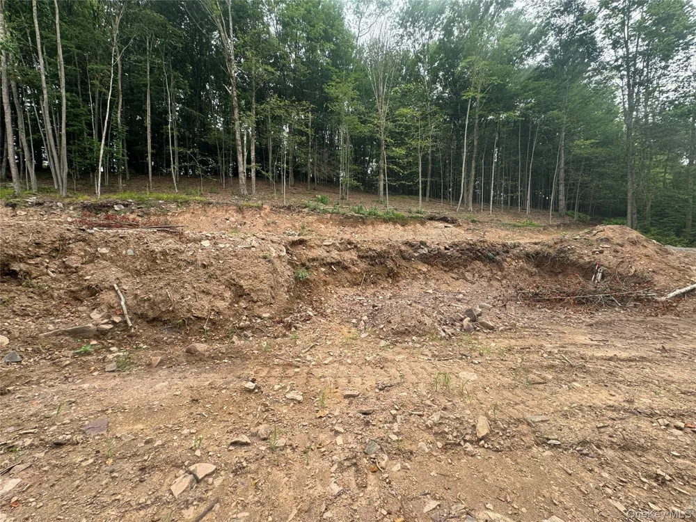Rapp Road Monticello, NY 12701