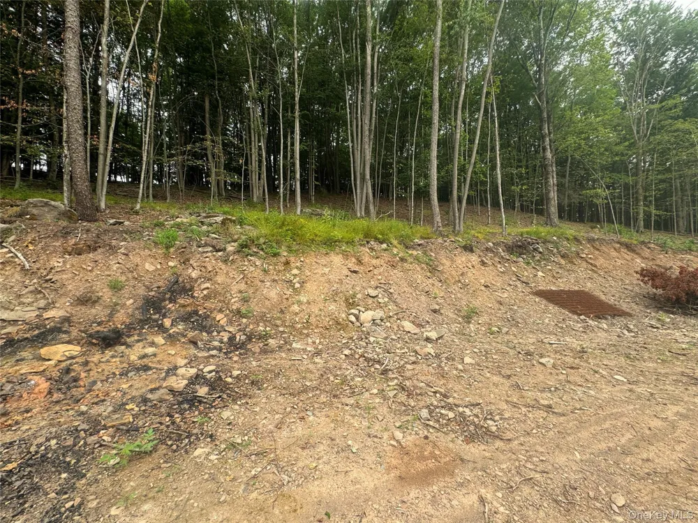 Rapp Road Monticello, NY 12701