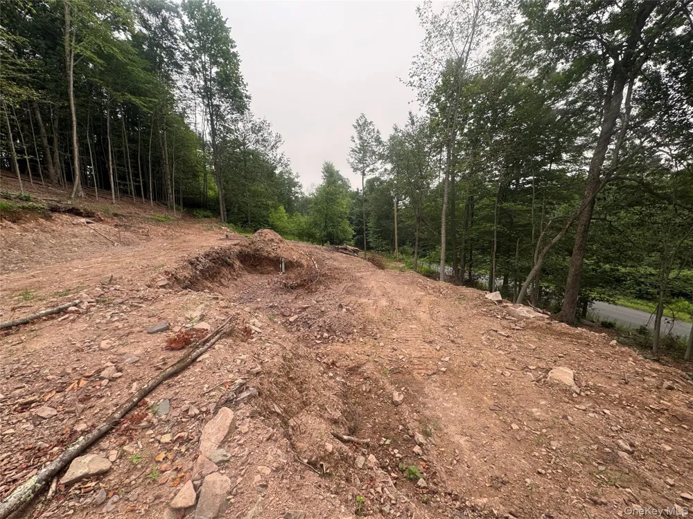 Rapp Road Monticello, NY 12701