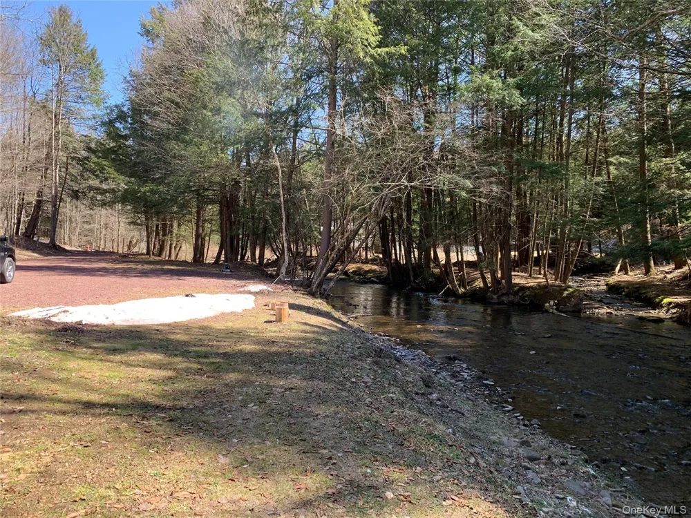 604 Basket Road Long Eddy, NY 12760