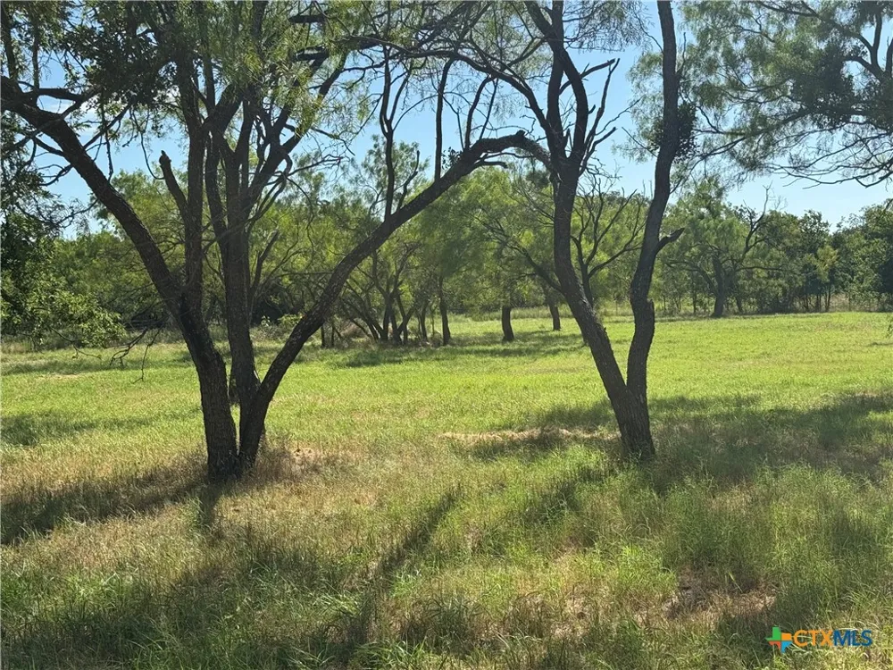 1 Sixth Street Bangs, TX 76823