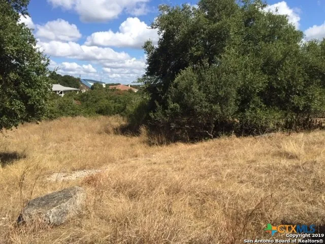 318 Gallagher Drive Canyon Lake, TX 78133