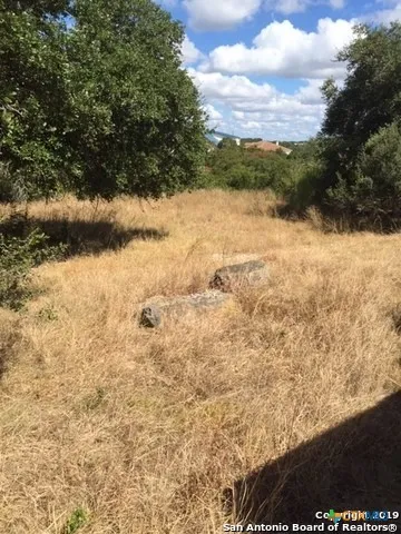 318 Gallagher Drive Canyon Lake, TX 78133