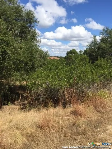 318 Gallagher Drive Canyon Lake, TX 78133